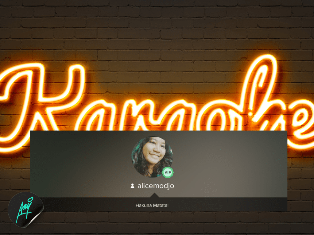 Smule Karaoke Collections&nbsp;🎤